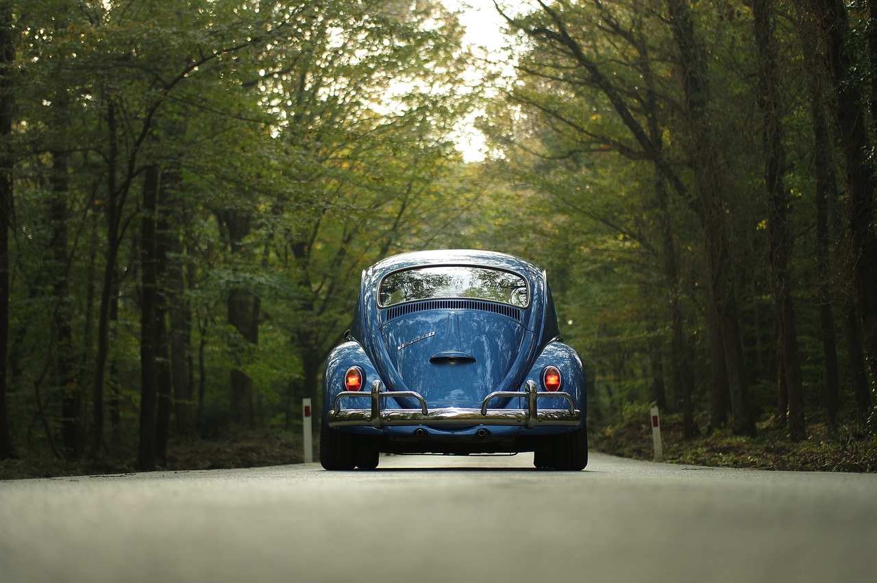 car, classic car, forest